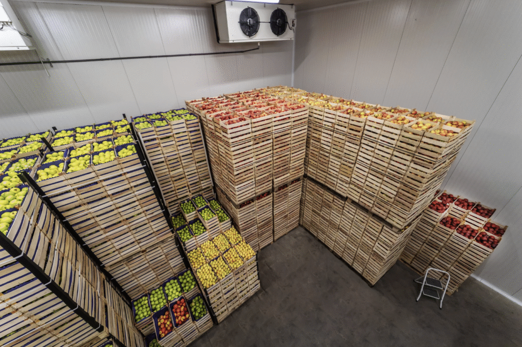 Cold Storage for Factory Upgrades: Efficiency and Safety